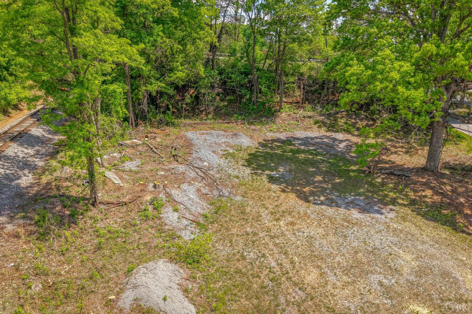 0 Tanyard Road Rocky Mount, VA 24151 - Photo 6 of 16 a view of a yard with plants and trees