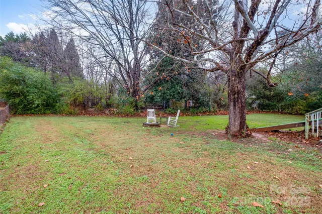 a view of a park with a tree