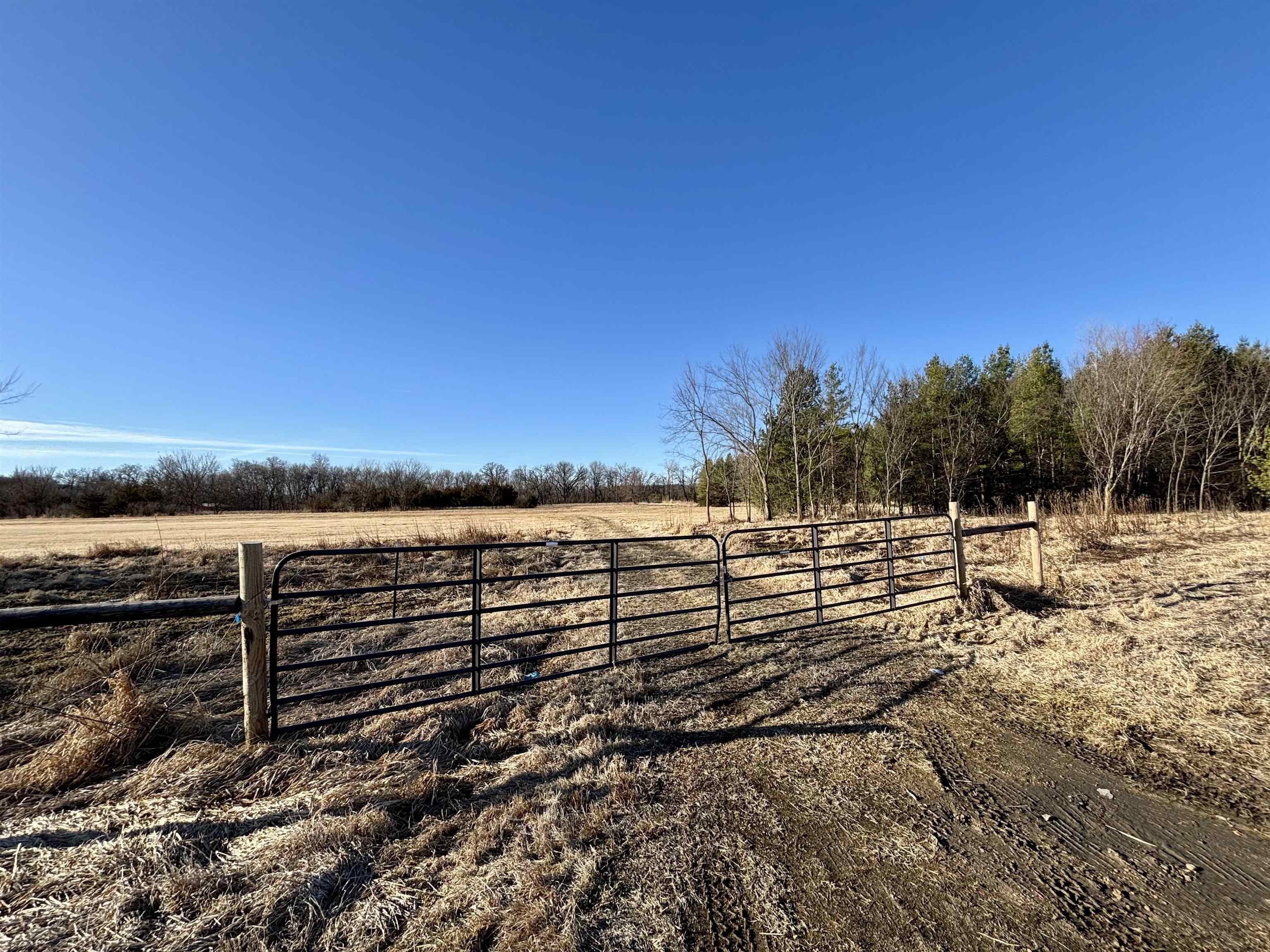 20 Acres /- Tbd S Crazy Hollow Road Hanover, IL 61041 - Photo 15 of 29 a view of outdoor space with wooden fence