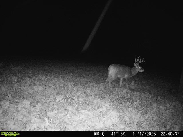 20 Acres /- Tbd S Crazy Hollow Road Hanover, IL 61041 - Photo 23 of 29