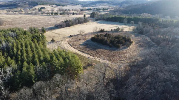 a view of a dry yard