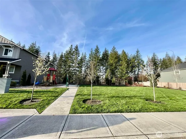 a view of a park with large trees