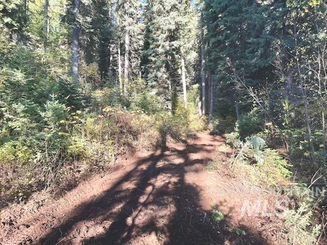 1601 Bear Trail Loop Cascade, ID 83611 - Photo 26 of 26