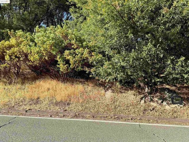 a view of a yard with wooden fence