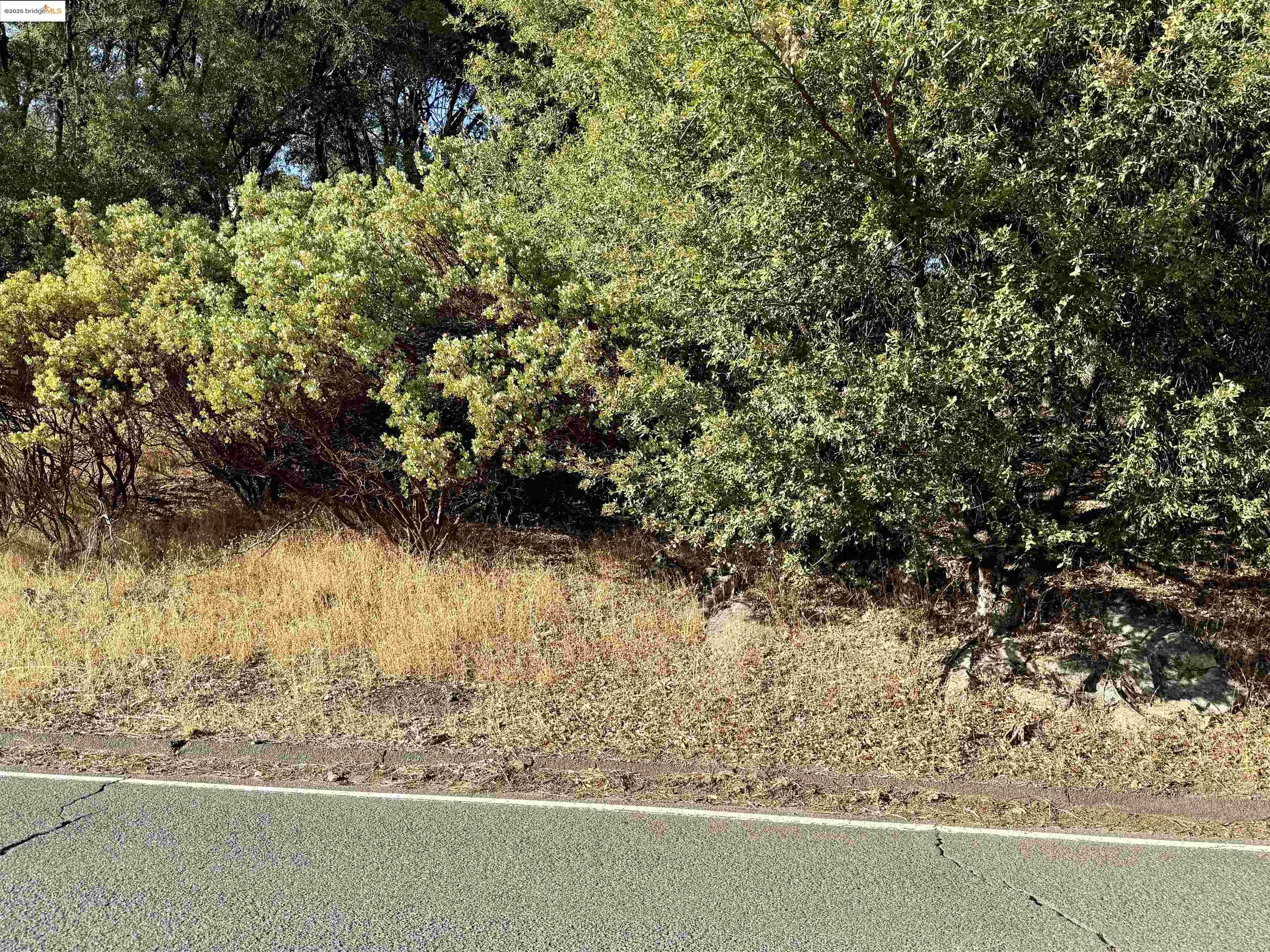 21858 Phoenix Lake Road Sonora, CA 95370 - Photo 14 of 17 a view of a yard with wooden fence