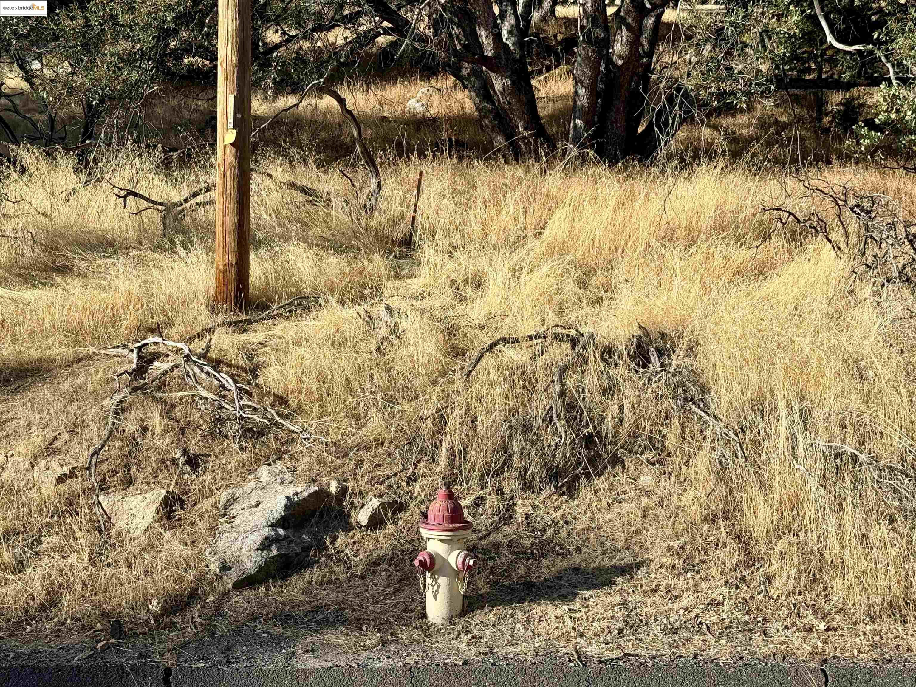 21858 Phoenix Lake Road Sonora, CA 95370 - Photo 4 of 17 a view of a yard