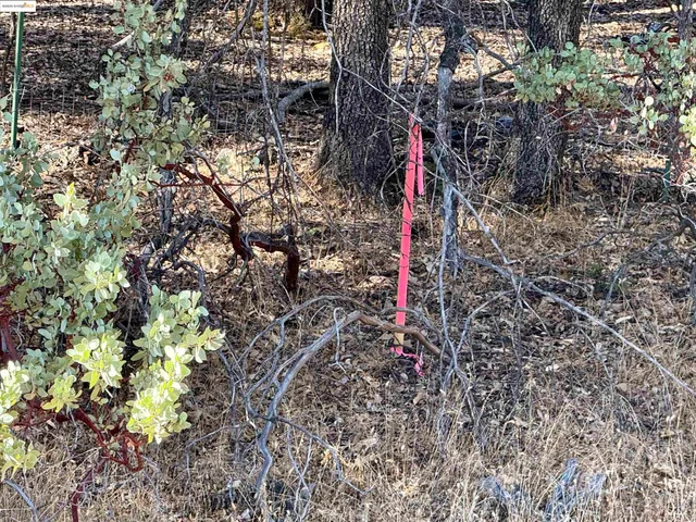 a view of under construction