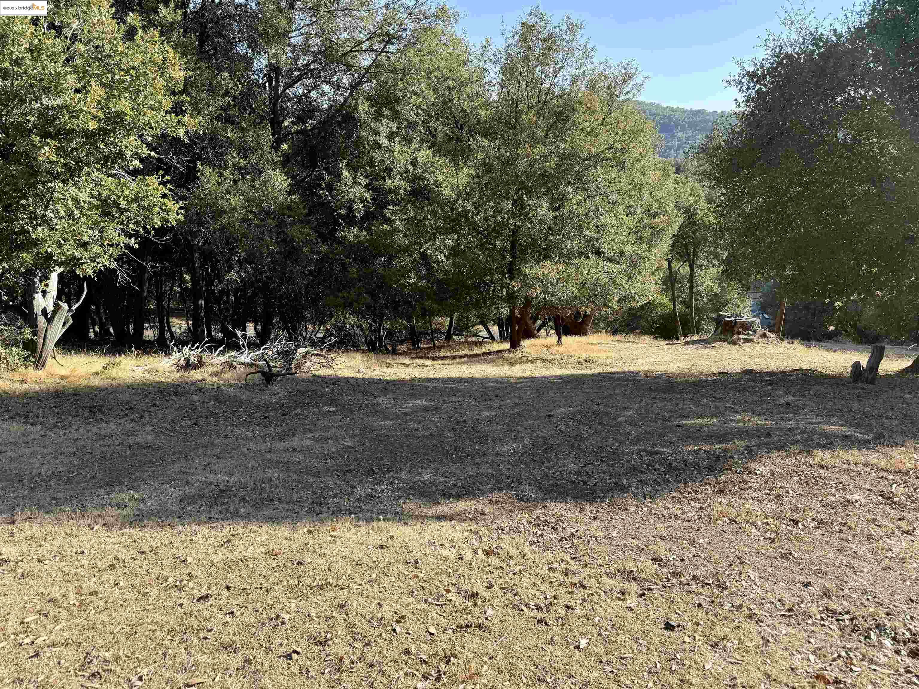 21858 Phoenix Lake Road Sonora, CA 95370 - Photo 8 of 17 a view of dirt yard with a tree