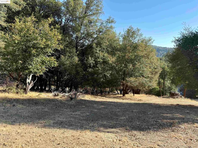a view of dirt yard with a large tree
