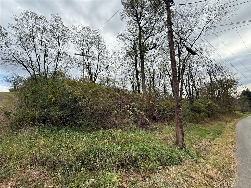 0 Coolspring Road Indiana, PA 15701 - Photo 3 of 3 a backyard of a house with lots of green space
