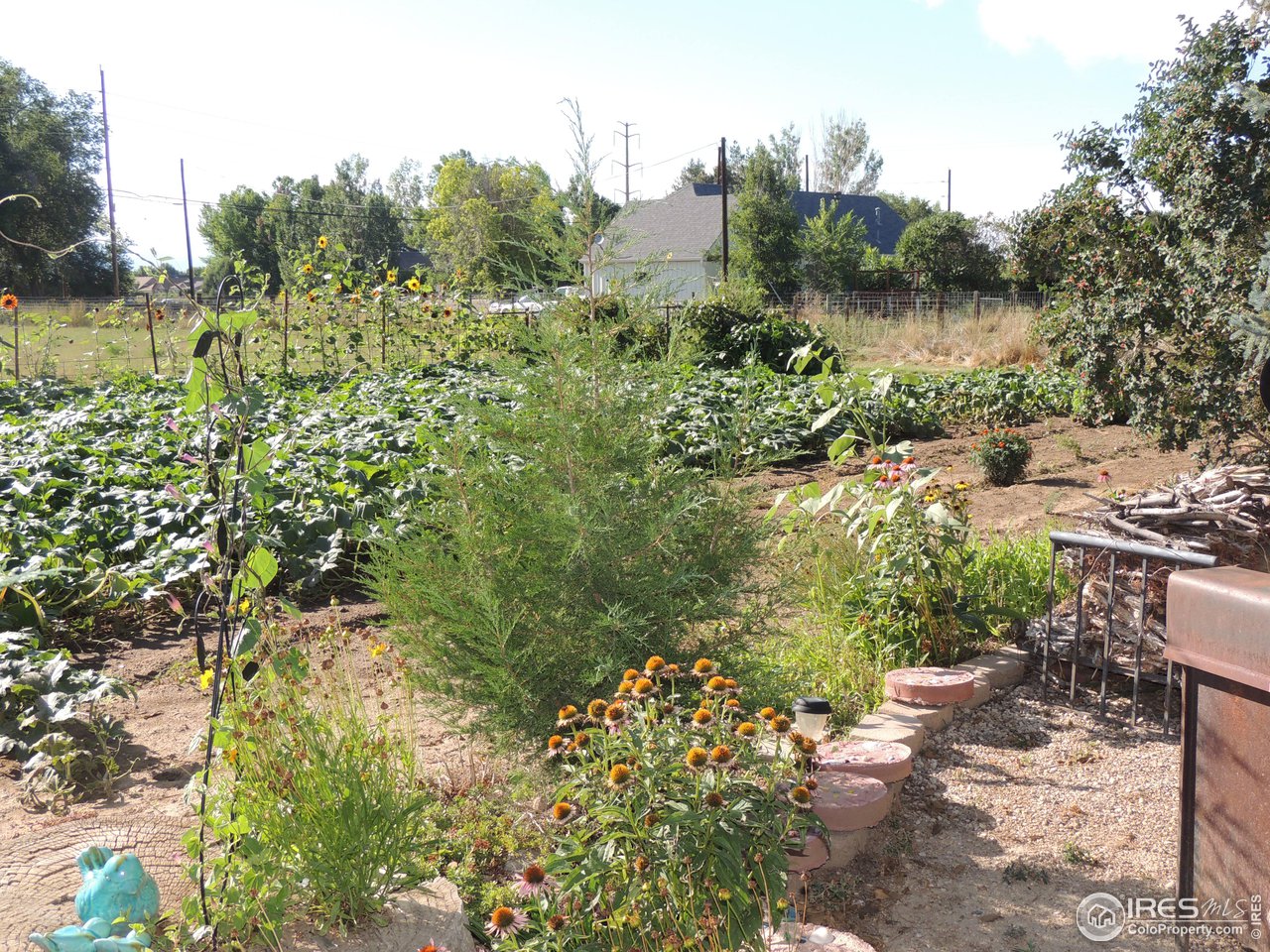 3920 Northeast County Line Road Erie, CO 80516 - Photo 23 of 37 Garden area