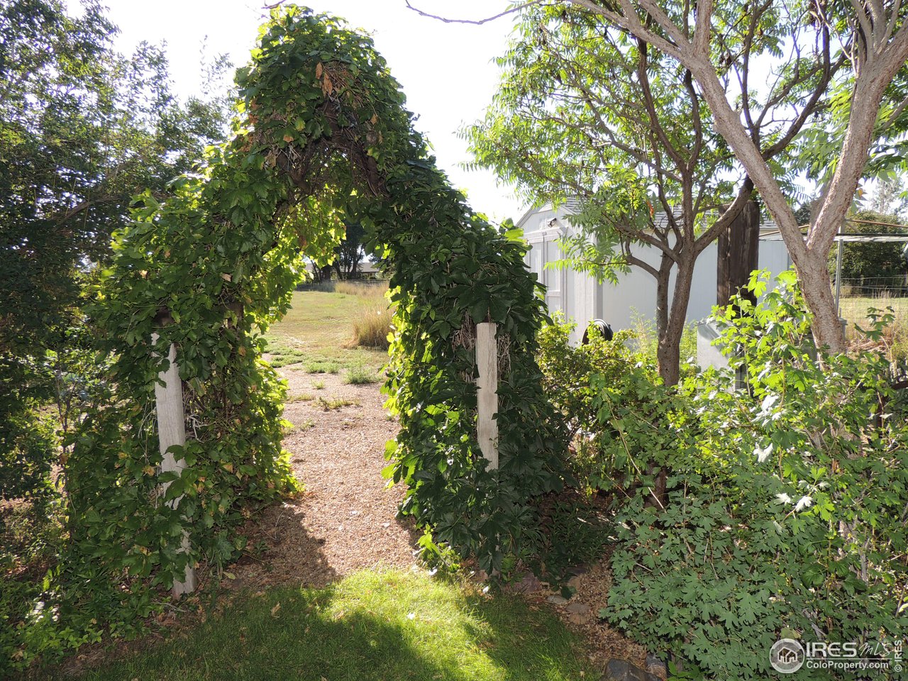 3920 Northeast County Line Road Erie, CO 80516 - Photo 29 of 37 Garden entrance - grapes