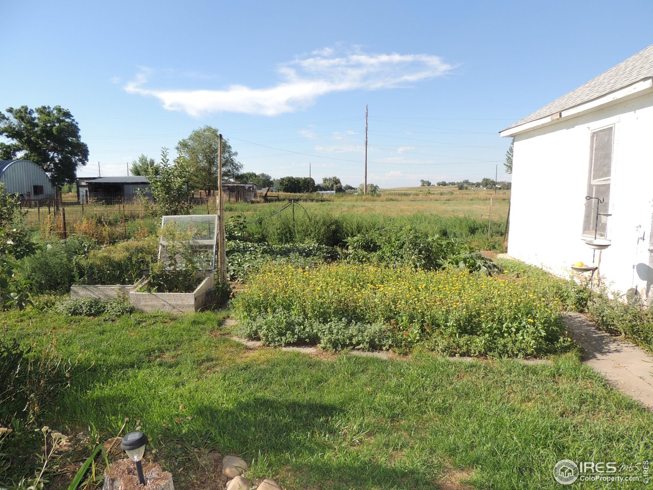 3920 Northeast County Line Road Erie, CO 80516 - Photo 32 of 37 More garden areas - horse radish, mint and raspberries.