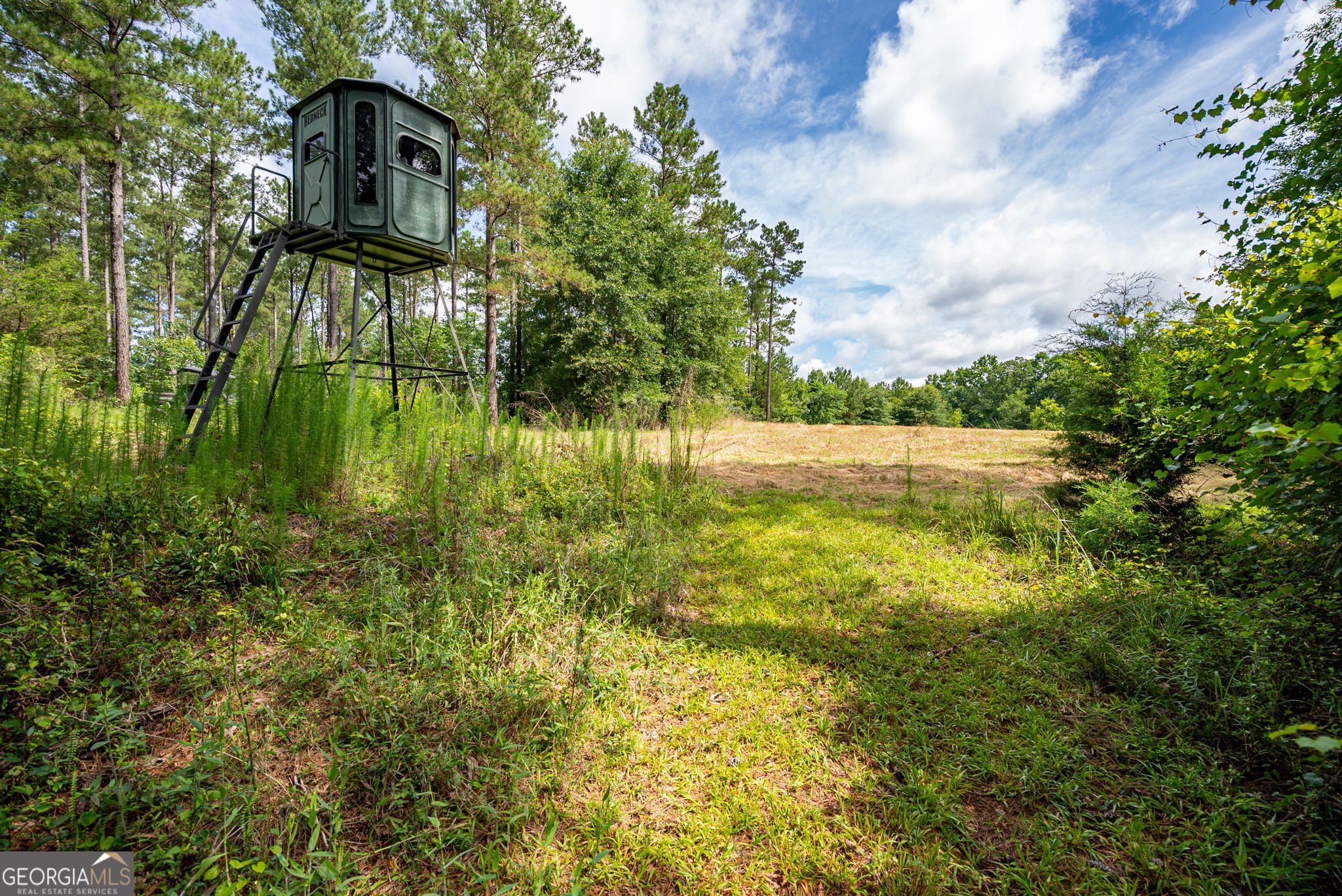 2286 Duffell Martin Road Comer, GA 30629 - Photo 39 of 81
