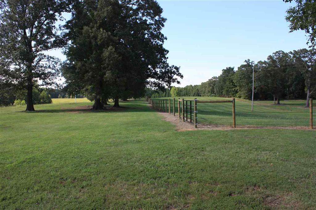 288 Irvin Road Stantonville, TN 38379 - Photo 21 of 25 With over 200 acres imagine the views , here is just one-