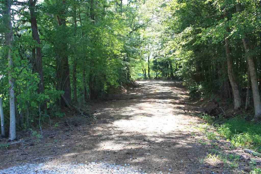 288 Irvin Road Stantonville, TN 38379 - Photo 23 of 25 So much to enjoy with Decades Old Giant oaks and An Abundance of Wildlife -