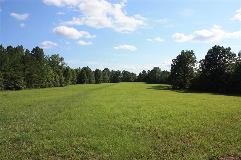 288 Irvin Road Stantonville, TN 38379 - Photo 24 of 25 Want to Plant yourself Here - Great Opportunity for Crops or Hay for Livestock