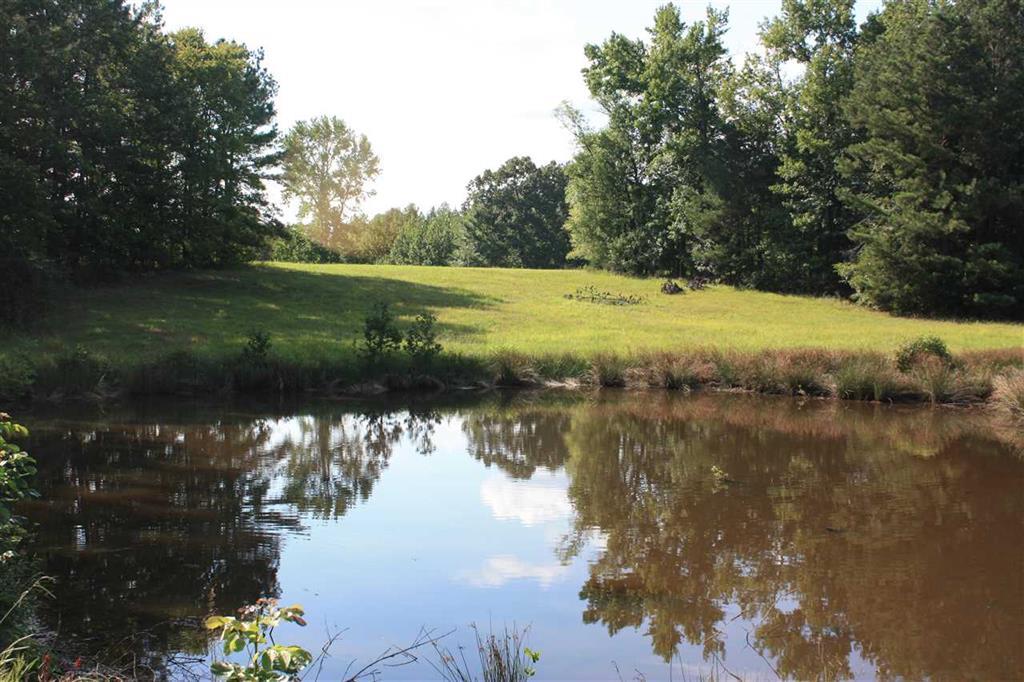 288 Irvin Road Stantonville, TN 38379 - Photo 25 of 25 Several Ponds and Springs provide for any Animals you may want or have for a fun day of fishing at home...Deer or Turkey Hunters Paradise