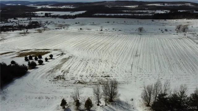 $105,000 | South Cortland Virgil Road, Cortland, NY 13045