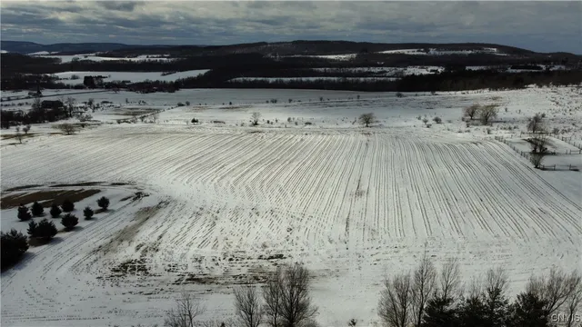 $105,000 | South Cortland Virgil Road, Cortland, NY 13045