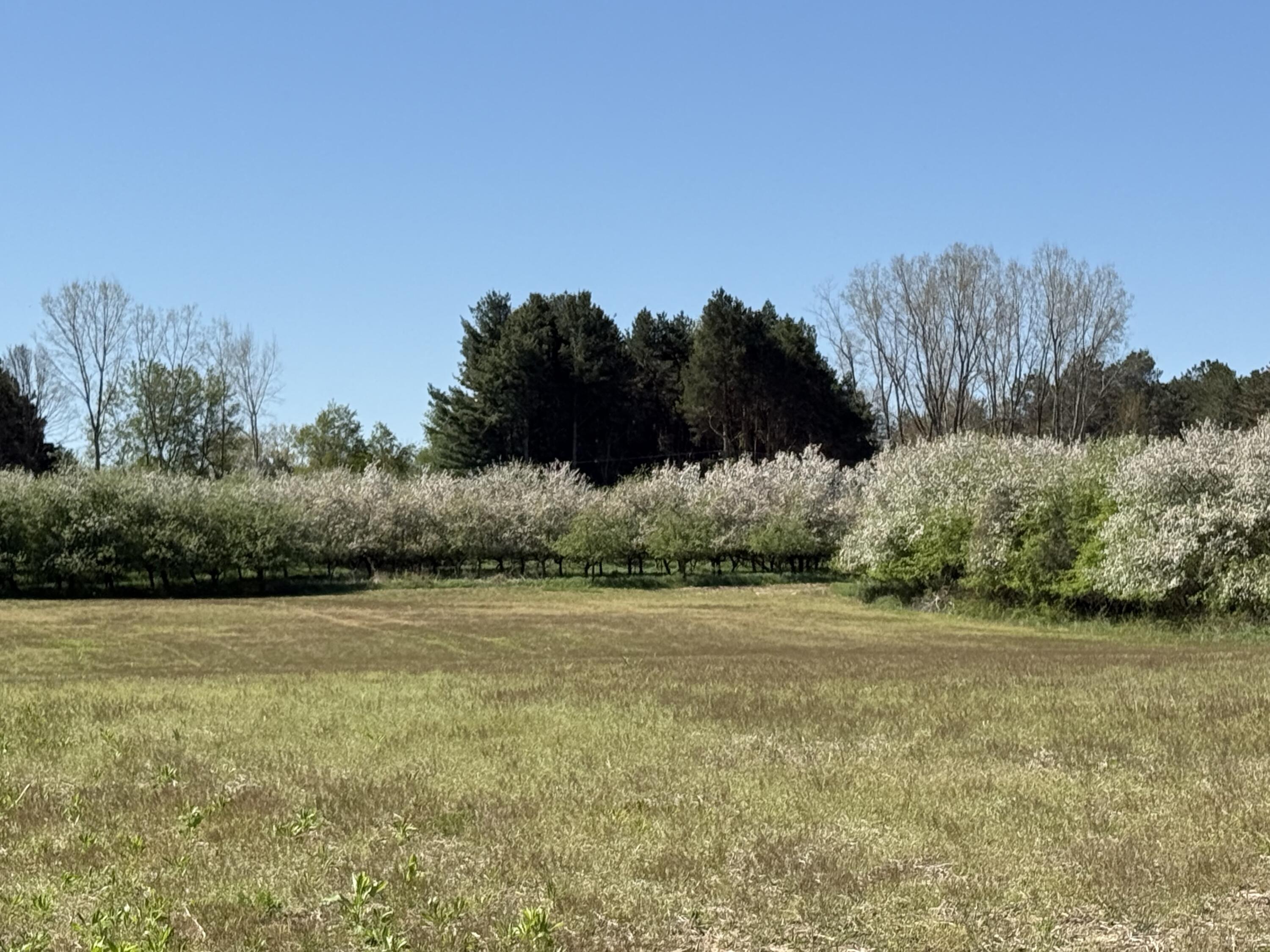 5140 37 Mile Road Romeo, MI 48065 - Photo 1 of 15 Yes1