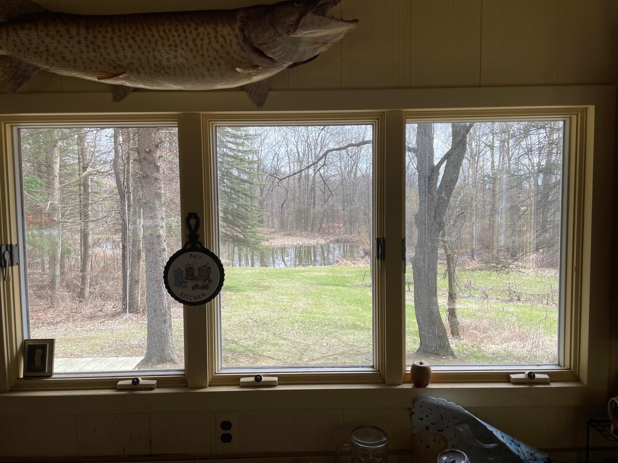 5140 37 Mile Road Romeo, MI 48065 - Photo 13 of 15 Cabin Pic Yes2