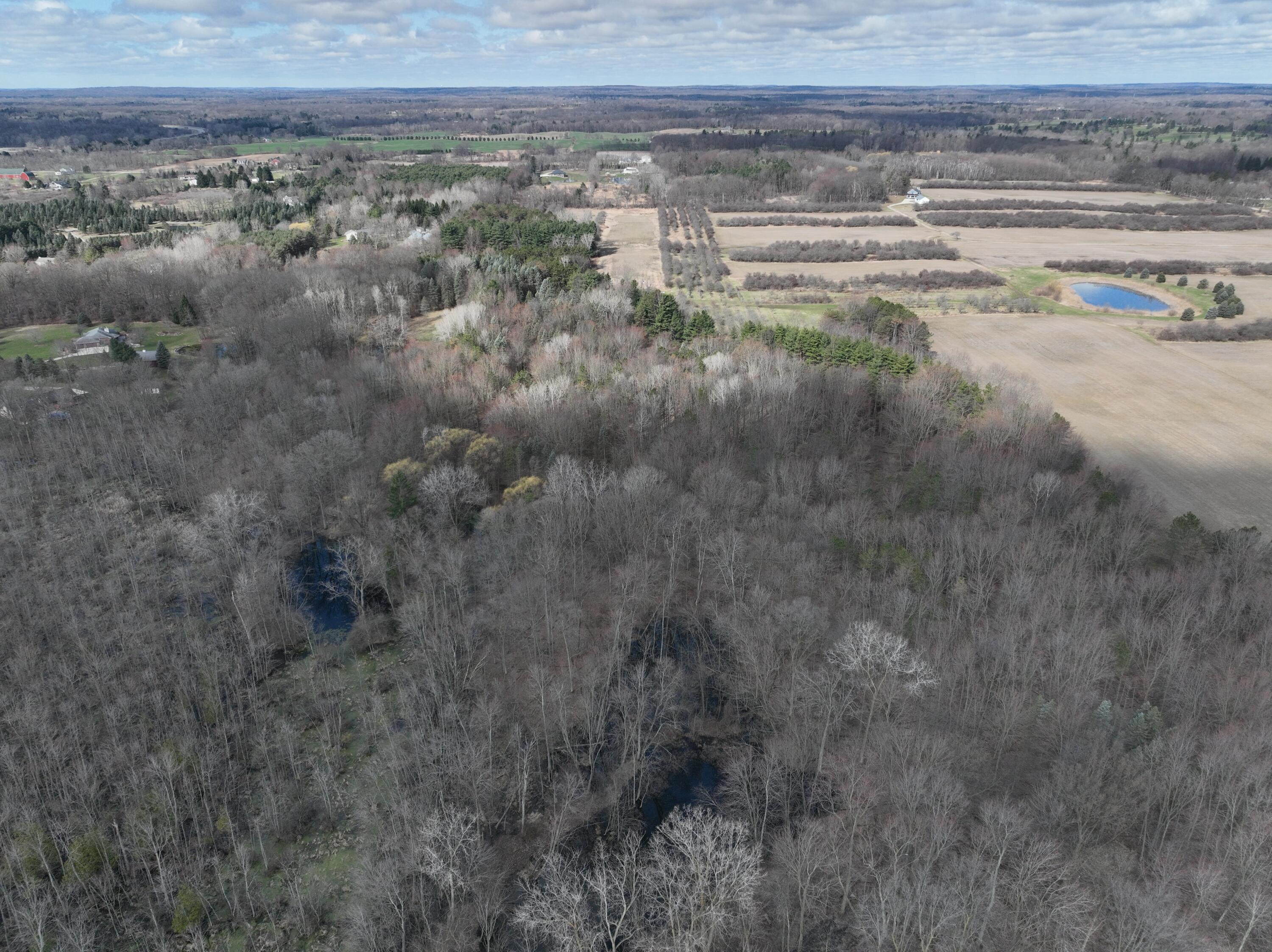5140 37 Mile Road Romeo, MI 48065 - Photo 4 of 15 DJI_20250401103342_0020_V