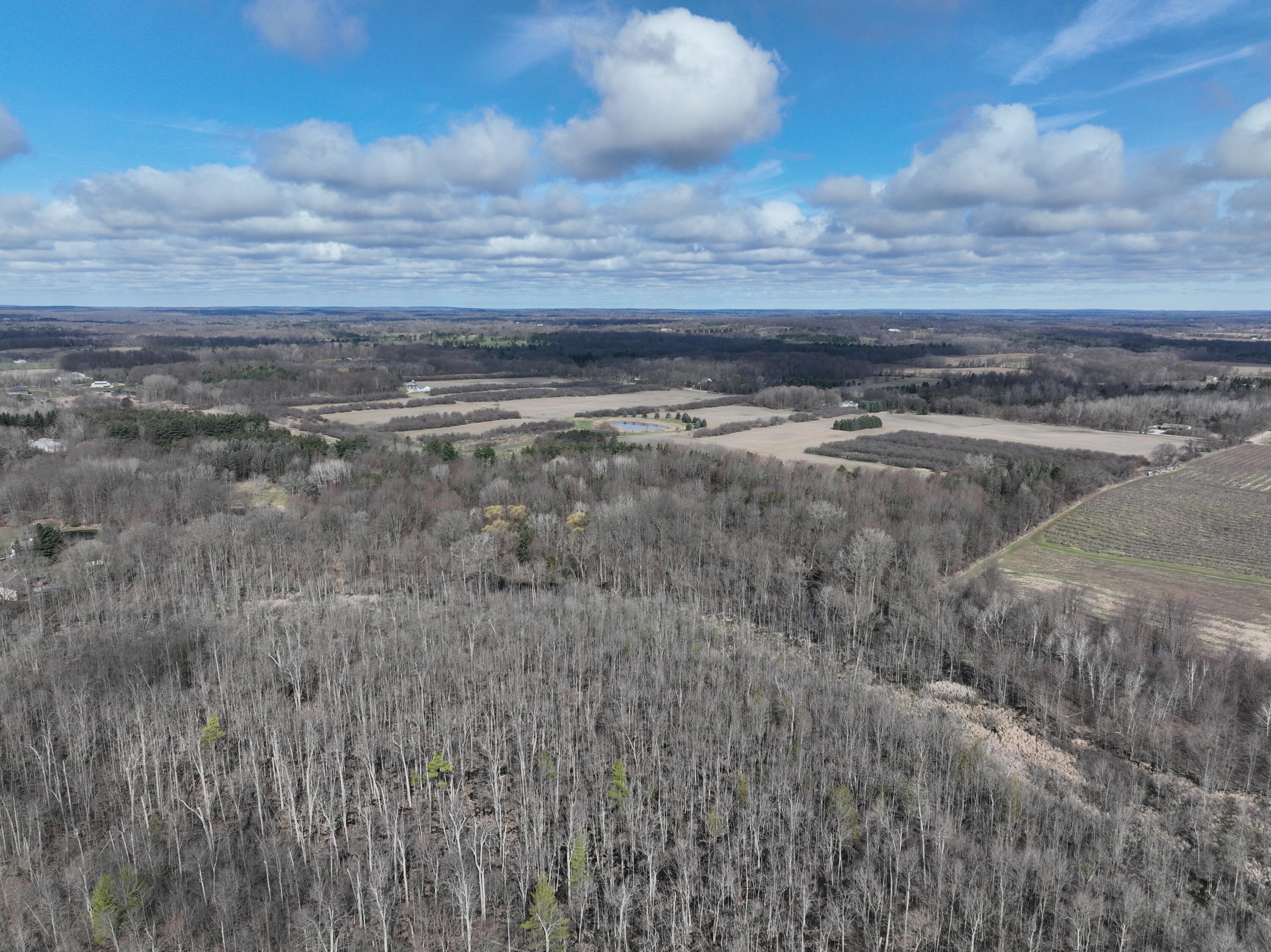 5140 37 Mile Road Romeo, MI 48065 - Photo 5 of 15 DJI_20250401103655_0025_V