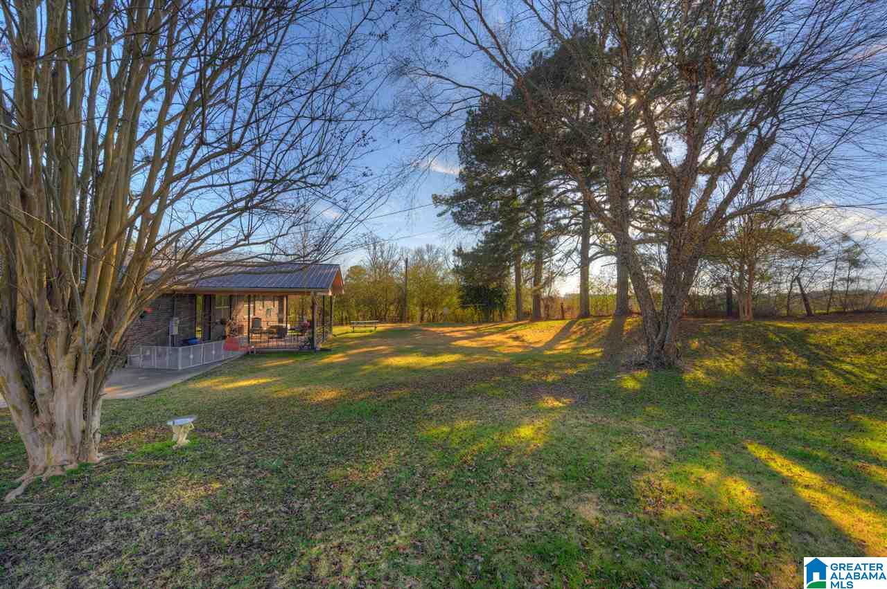 7101 Highway 195 Jasper, AL 35503 - Photo 7 of 21