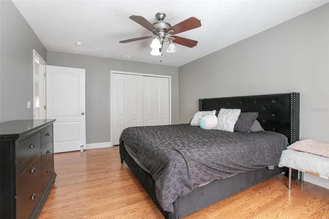 a view of a back yard