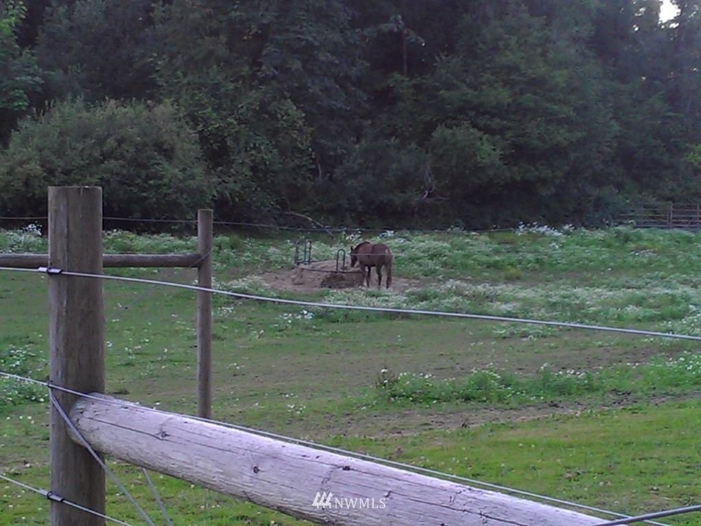 11346 Highway 12 Rochester, WA 98579 - Photo 17 of 19