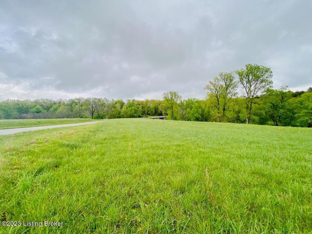 5717 Mt Zion Road Springfield, KY 40069 - Photo 4 of 9 IMG_3613