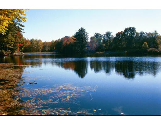 9 Don Emerson Road Chesterfield, MA 01012 - Photo 4 of 11 a view of a lake in middle of forest