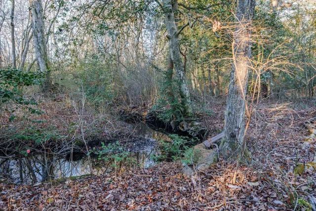 $799,900 | 9 Deerfield Trail, Woodbine, NJ 08270