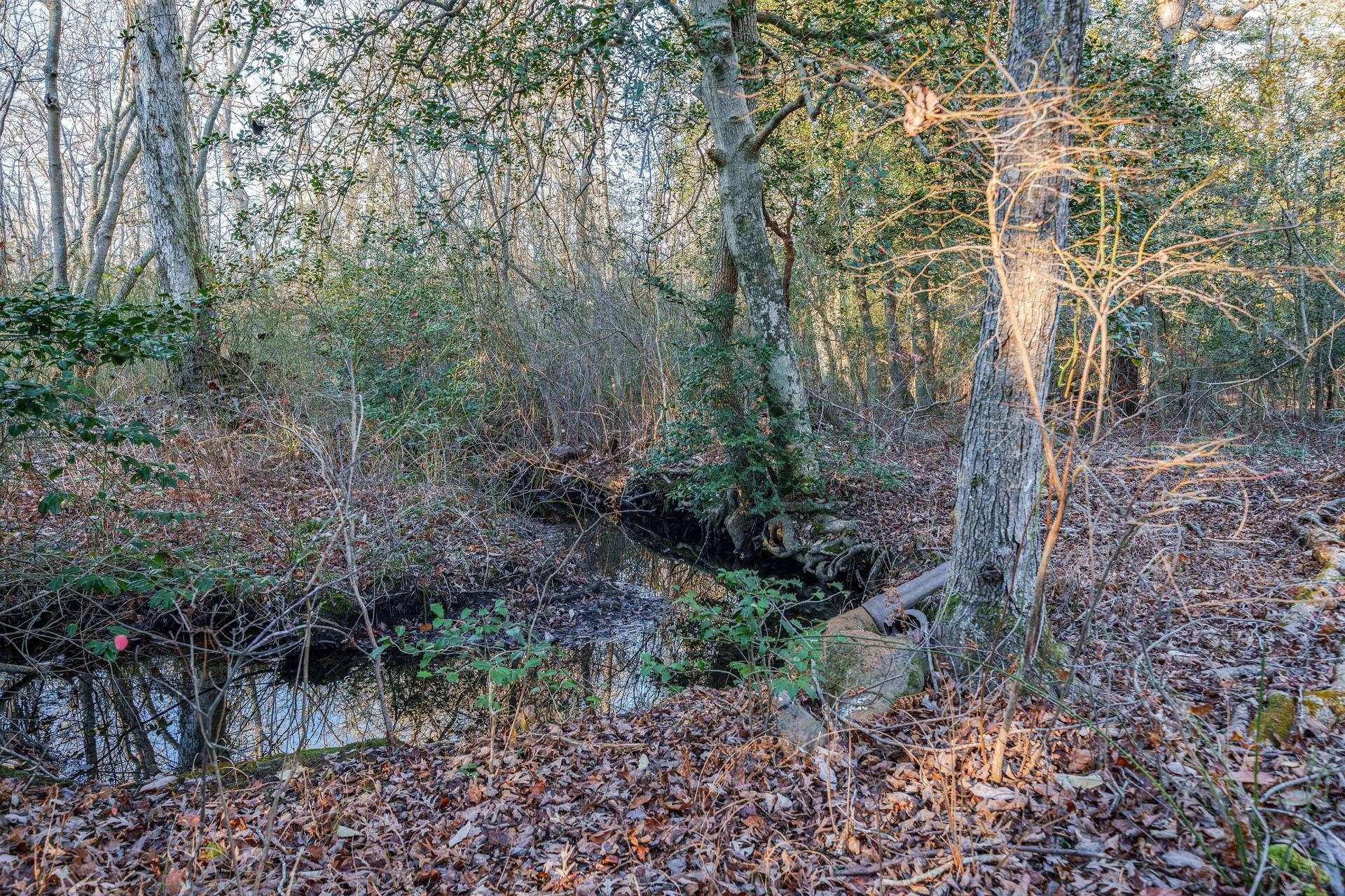 9 Deerfield Trail Woodbine, NJ 08270 - Photo 48 of 50