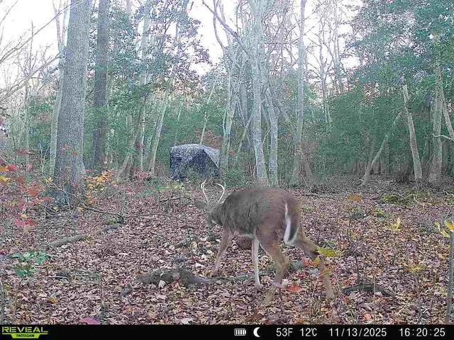 $799,900 | 9 Deerfield Trail, Woodbine, NJ 08270