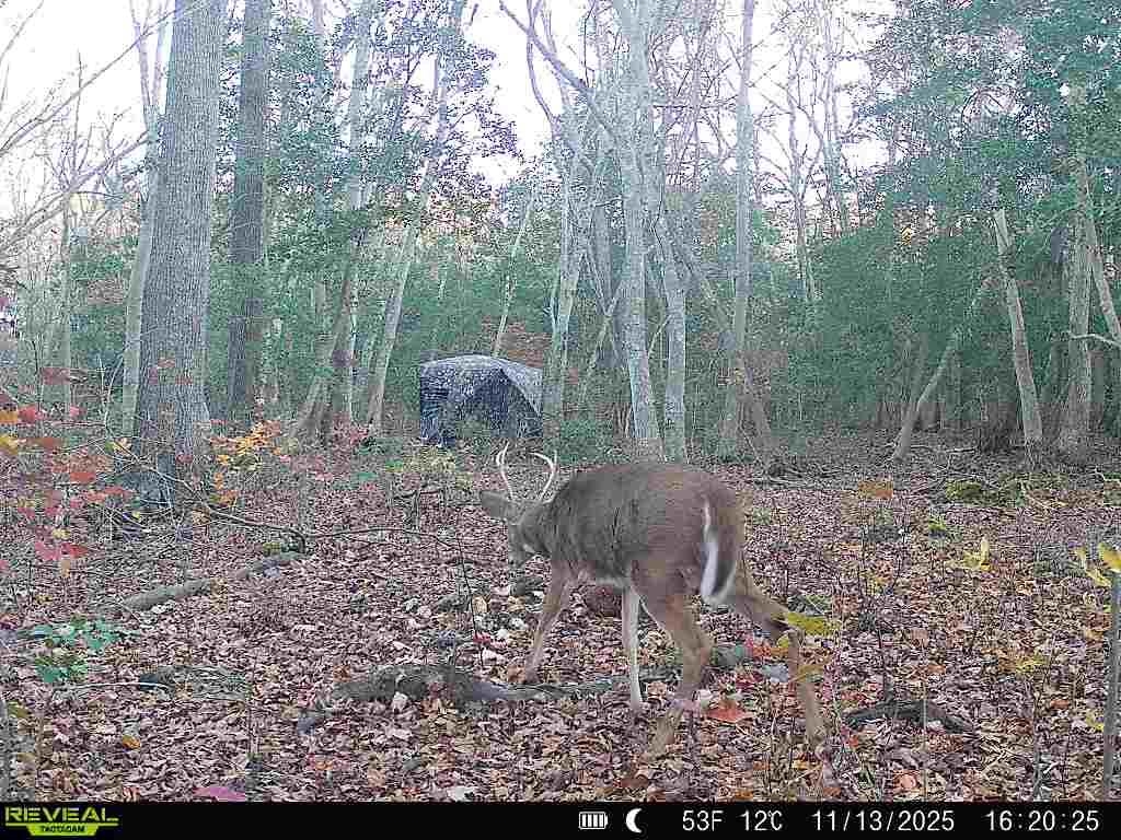 9 Deerfield Trail Woodbine, NJ 08270 - Photo 49 of 50