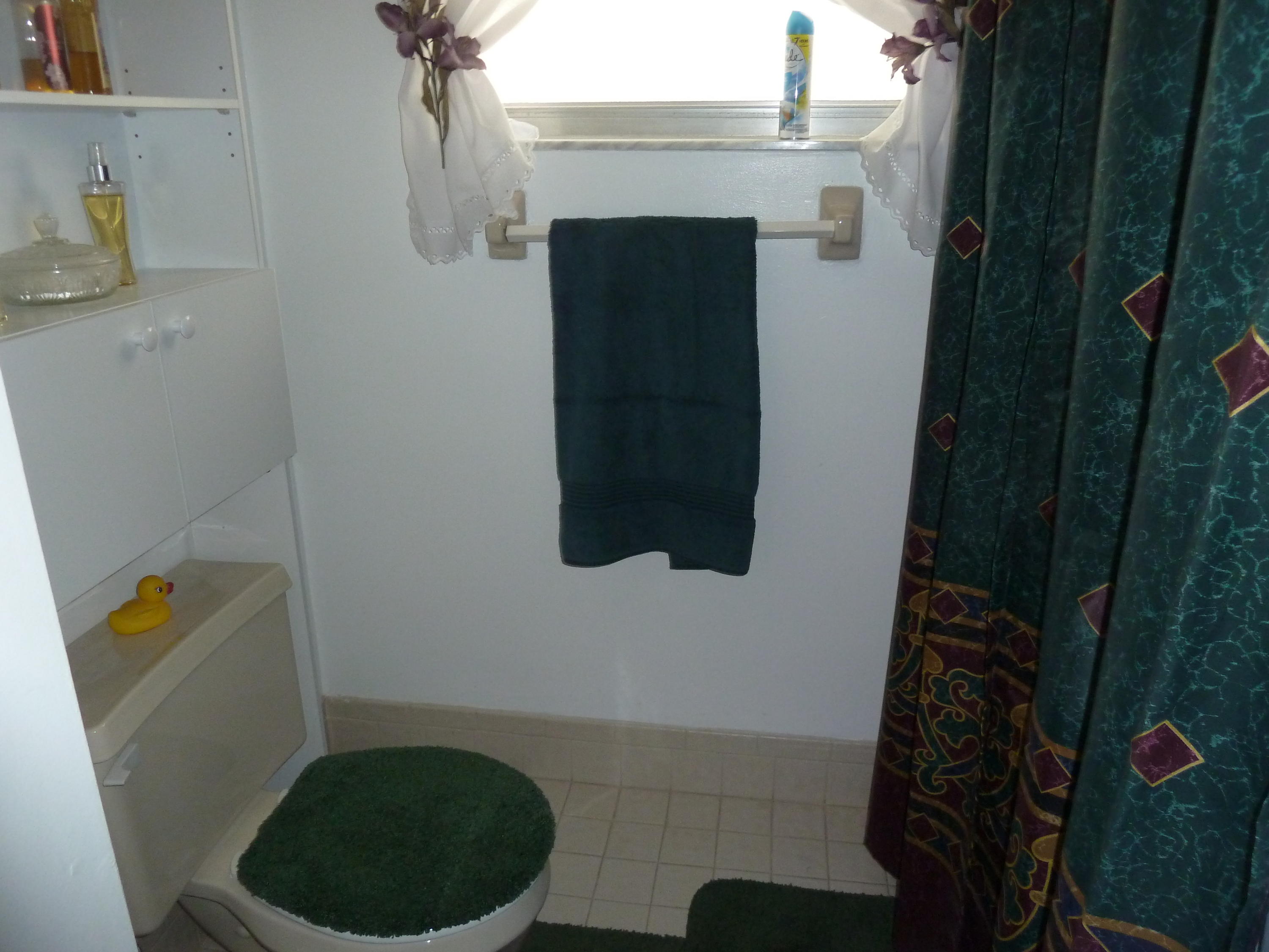 22982 Southwest 56th Avenue Boca Raton, FL 33433 - Photo 10 of 20 Master Bathroom