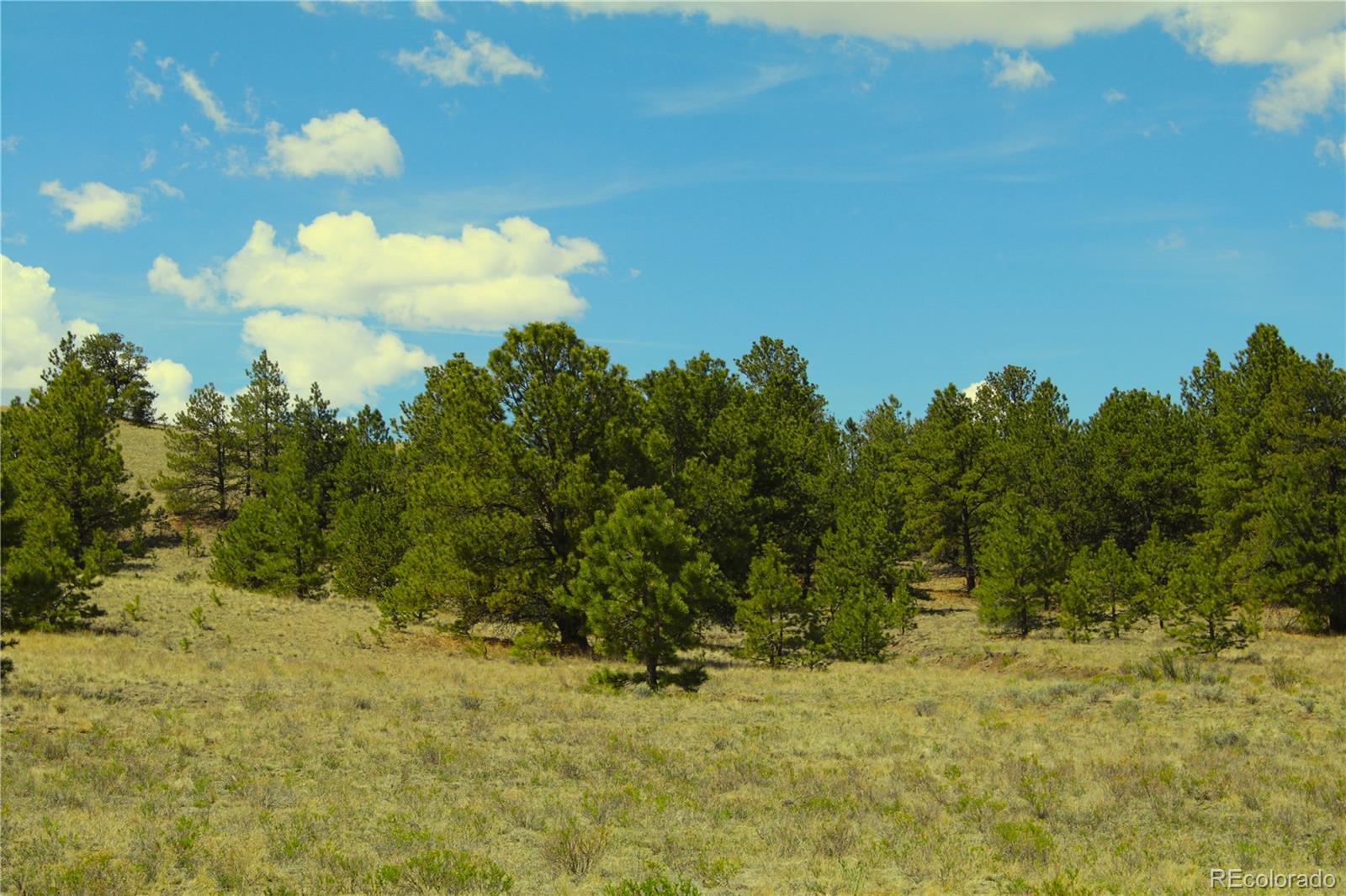 60 Hill Road Hartsel, CO 80449 - Photo 2 of 15