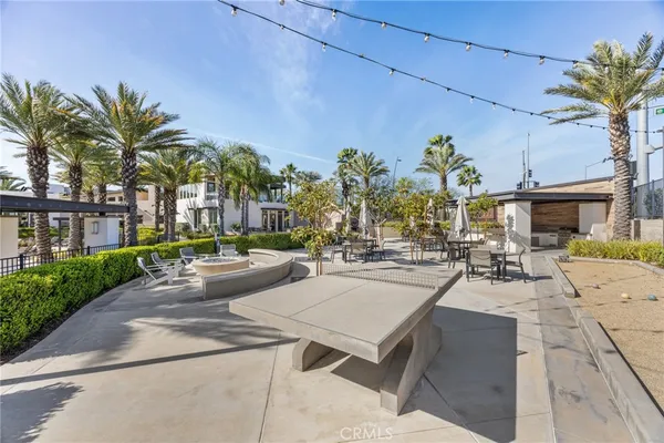 a view of a backyard with plants and palm tree