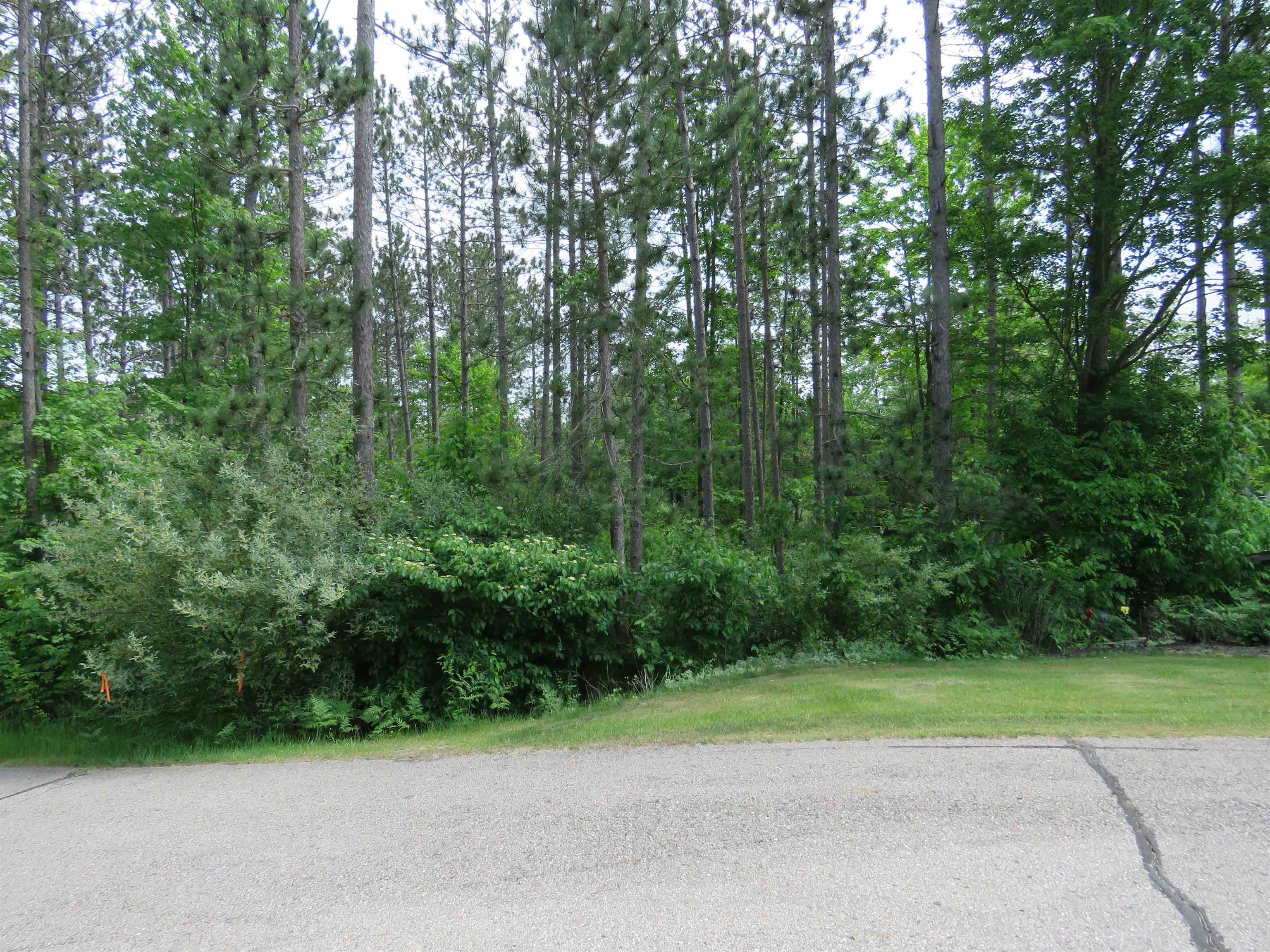 3225 North 39 Road Manton, MI 49663 - Photo 22 of 33 1935166-0accfd9e-fd6e-4ac6-8383-2f0ef03908ac.JPG