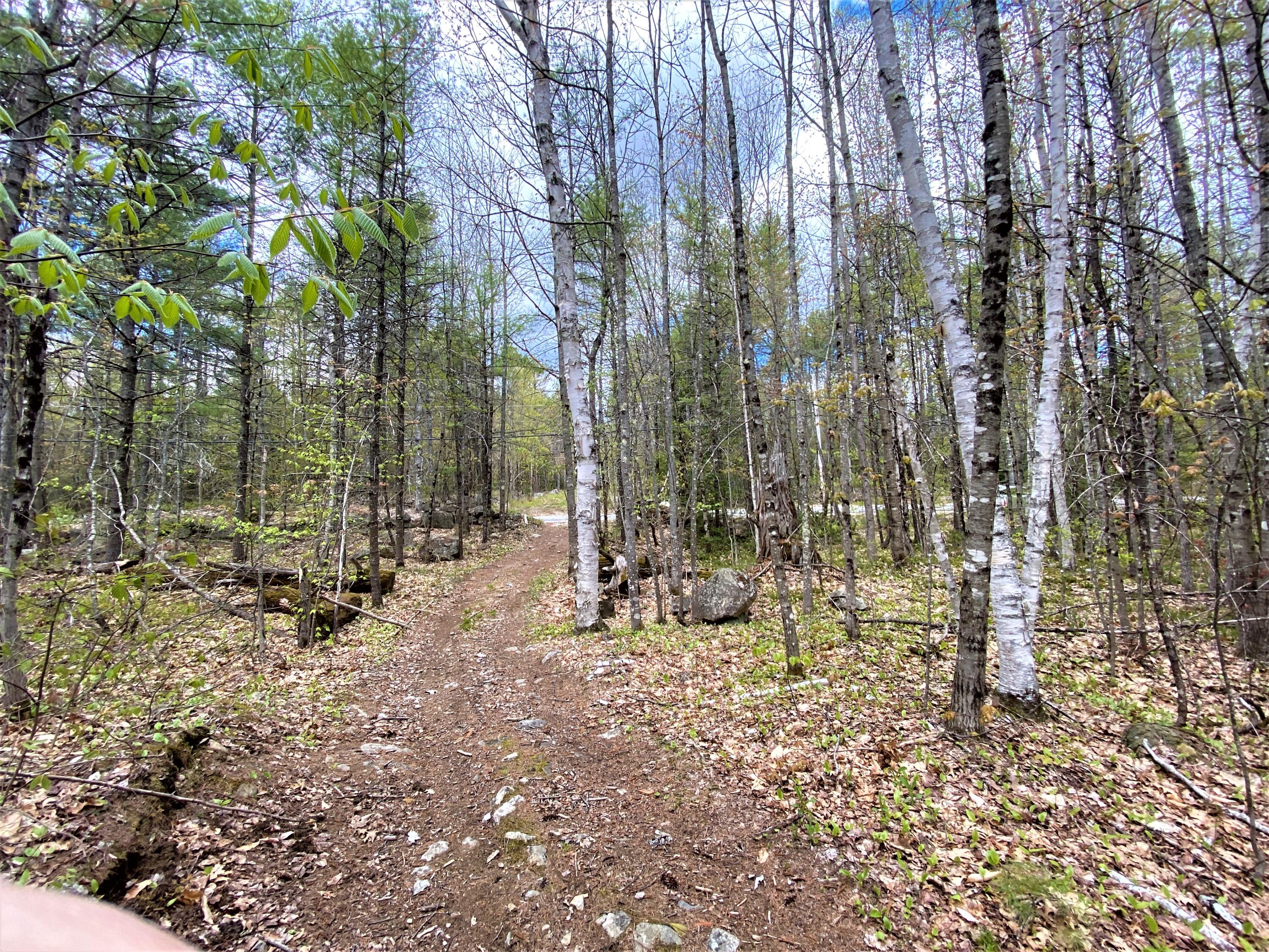 0 Libby Road, Unit LOT #1 West Newfield, ME 04095 - Photo 1 of 14 IMG_13677