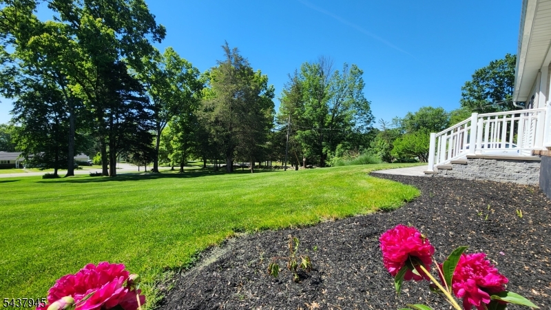 18 Roslyn Road Branchville, NJ 07826 - Photo 5 of 45