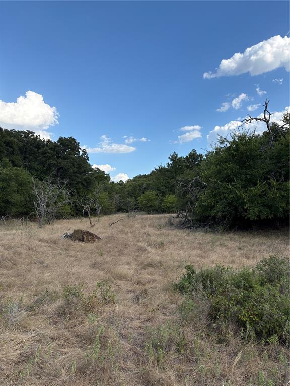 271 Wyatt Road Jacksboro, TX 76458 - Photo 20 of 40 Expansive open field with natural foliage and mature trees under a clear sky with scattered clouds