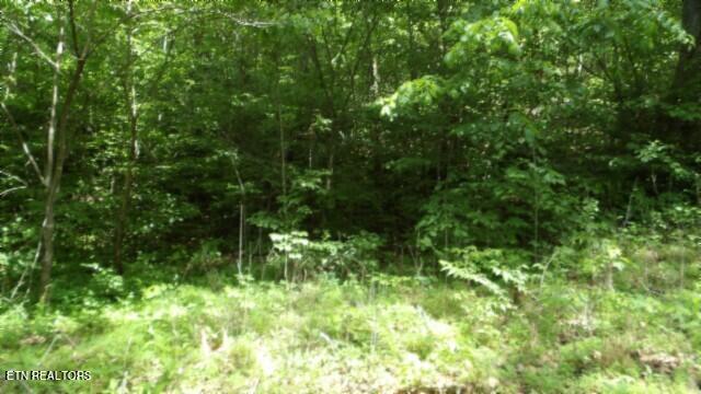 20.76-ac Walker Cove Road Sparta, TN 38583 - Photo 11 of 33 100_0012