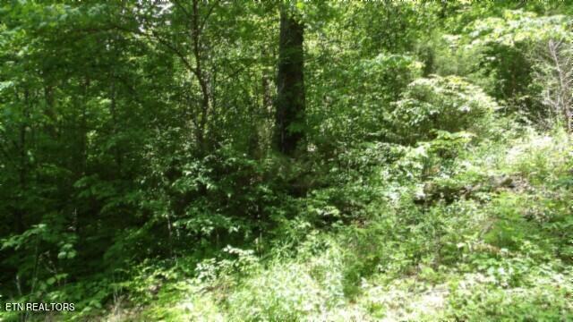 20.76-ac Walker Cove Road Sparta, TN 38583 - Photo 13 of 33 100_0014