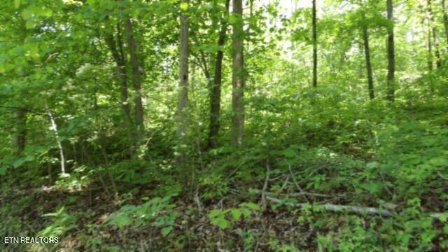 20.76-ac Walker Cove Road Sparta, TN 38583 - Photo 7 of 33 100_0007