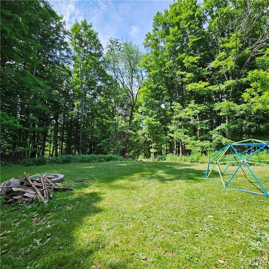 1000 Rail Fence Road Camillus, NY 13031 - Photo 37 of 47 OWNERS CUT DOWN SOME TREES TO CREATE A BACKYARD TO