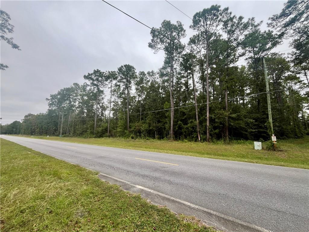 3558 Belle Hammock Road Northeast Townsend, GA 31331 - Photo 3 of 7