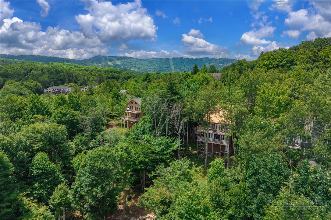 108 Windridge Road Beech Mountain, NC 28604 - Photo 45 of 49
